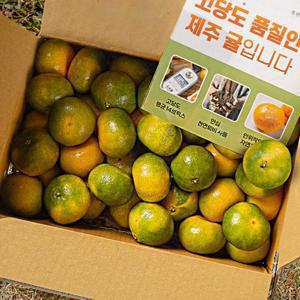 [대한민국농수산] 제주도 농장 산지직송 로얄과 극조생 귤 2.5kg (22~33과)