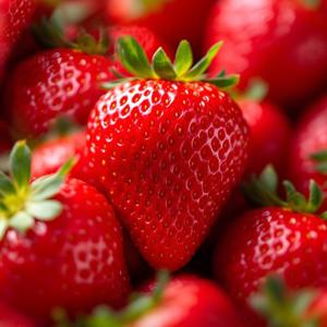 무가당 냉동딸기 1kg x 3팩