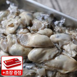 [품질보장] 산지직송 A급 통영 햇생굴 2kg(초장100g 무조건증정)