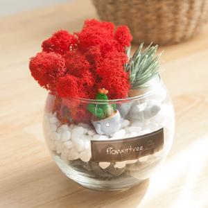 스칸디아모스 공기정화식물 화병 자갈글라스 set 11cm (DIY) 3컬러 인테리어 천연 이끼 장식 소품