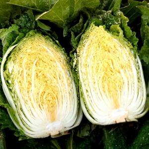 [GAP인증]해남 스테비아 절임배추 20kg (6~9포기)(100%국산소금)