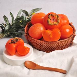 [푸르젠 반시] 고당도 청도 반시/연시 대과 5kg (36-40과)