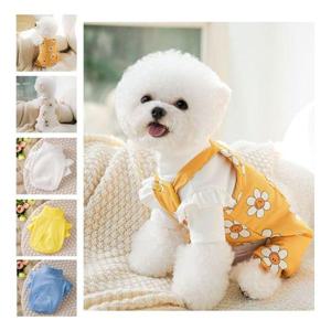 키밍 큐티 강아지멜빵 내복 티셔츠 바지 올인원 외출 (WB4042E)