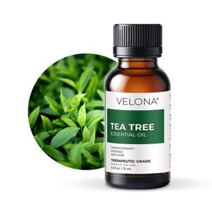 베로나 티트리 에센셜 오일 15ml 1개 USDA 유기농 100% 천연 원액 아로마 테라피