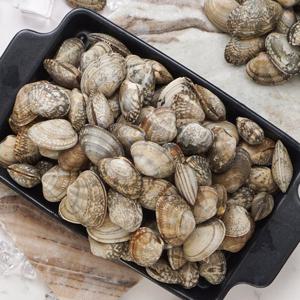 [바지락총각] 고창 하전갯벌 해감 참바지락 1kg X 3팩