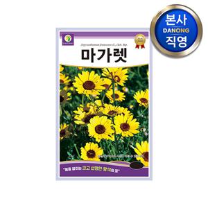 마가렛 씨앗 1g . 마거리트 마가렛트 금황꽃 꽃밭 화단 허브 식물 꽃씨 종자.