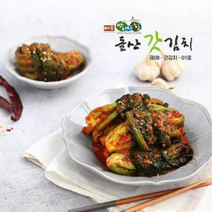 전남 여수 명물 돌산 갓김치 5kg