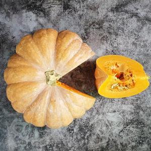 울릉도산 햇 늙은호박 5-6kg 내외