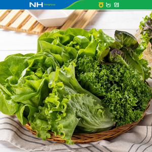 [GAP인증] 국내산 유러피안 샐러드 채소1kg(4종)