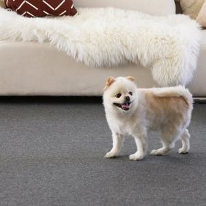 친환경 방염 강아지 고양이 애견 반려견 바닥 미끄럼방지 매트 50x50cm