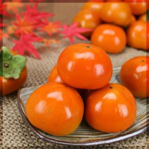 [농협청과33번] 달콤한 단감 10kg 80과내