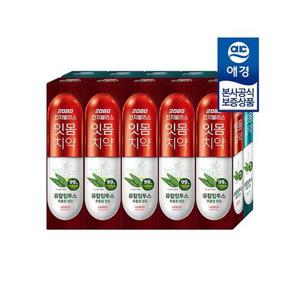 [2080][애경] 2080 유칼립투스 진지발 리스 치약 150g x10개
