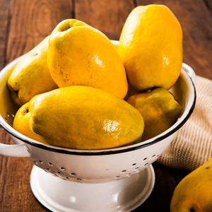 향긋한 모과 5kg 대과