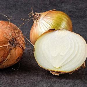 갤러리아_[농부마음]햇양파 국내산 양파 10kg(특품)