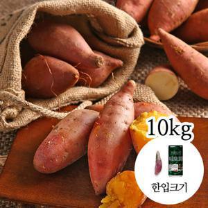 [감동 고구마] 세척 꿀고구마 10kg 한입크기