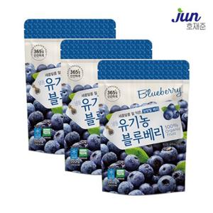 [호재준] 냉동 유기농 블루베리 500g x 3팩