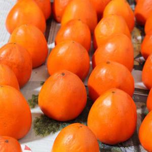 25년 햇 제철 대봉감 5kg(20-25과 내외)