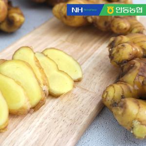 [안동농협] 품질보장 농협 흙 생강10kg
