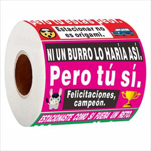 150개 스페인어 주차 스티커 – 5가지 디자인, 재미있는 자동차 라벨, 무광택 마감, 7x5cm, 자체 접착식