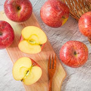 [더조은] 알뜰 꿀사과 부사사과 5kg 흠과 17-22과