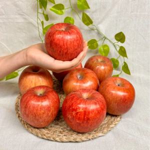 [푸디앤 ] 가정용 부사 사과 2kg-3kg (소과,중소과,중대과 선택)