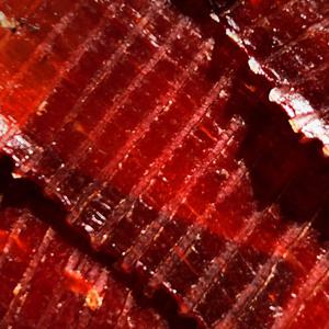 쫀득쫀득 영양만점 프리미엄 명품 소고기육포 100g