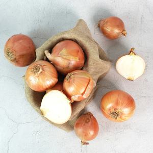 [더조은] 전남무안 싱싱 햇 양파 중 3kg