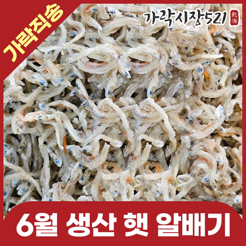 6월 갓잡은 국산 새우먹은 알배기 햇 지리멸치 500g 볶음용 잔멸치 한박스