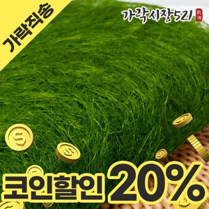 자연산 햇 감태 특대형 (10장) 건조 2025 서산 수제 생감태 감태김