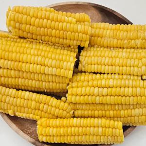 조각 옥수수 1kg 컷팅 갈비 옥수수