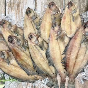 반건조 물가자미 10미(5미 x 2팩)_팩당 5미_500g 내외