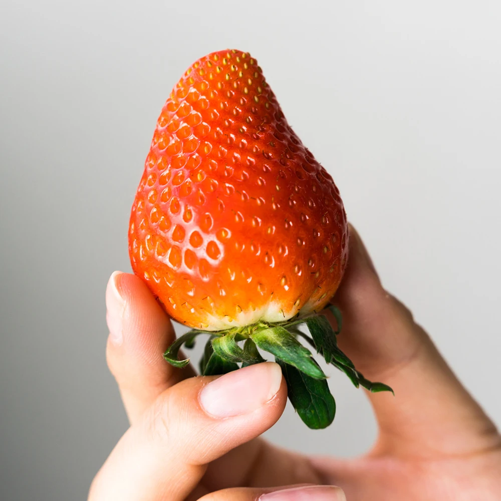 [한정특가 100박스] 비타민C 한가득 비타베리 딸기 논산 산지직송