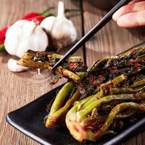 ★100%전라도 갓김치★국내산 HACCP 당일제조 전라도 직송 갓김치 1~5kg