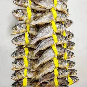 전통 방식으로 말린 영광 가정용 참조기 굴비 20미 40마리