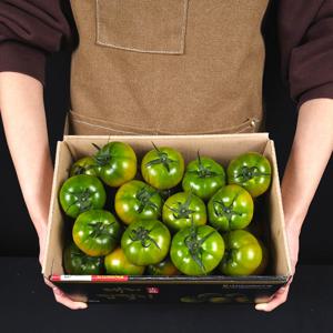 부산 토마토 중과 2.5kg 고당도