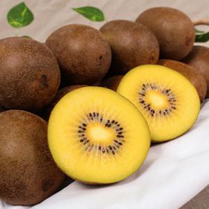 보성 골드키위 2kg 중과 23~25과