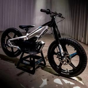 STACYC 18E 드라이브 스페셜 에디션, 어린이 자전거, 신상 판매