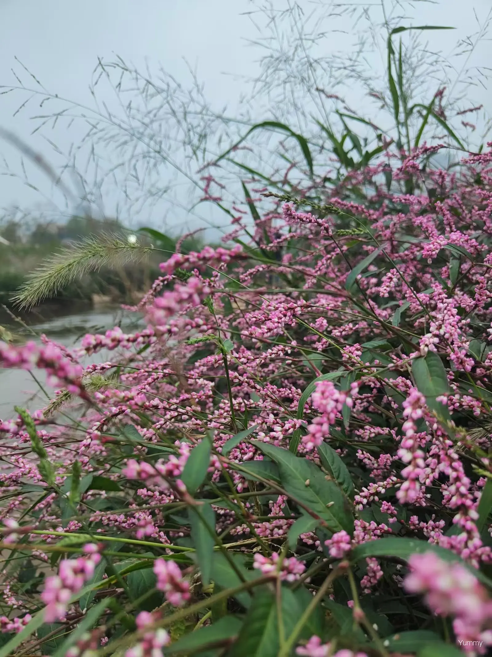 에이미가 지정한 제품 (+86 18807477625)