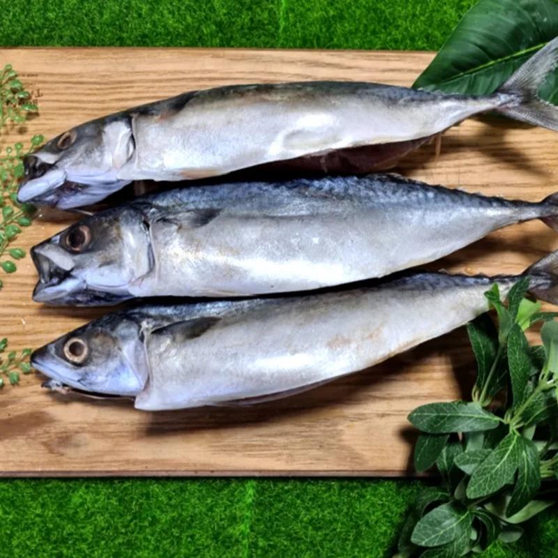 [푸디앤] 국내산 부산 다대포 급냉 자반 고등어