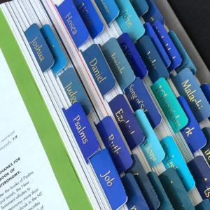 성경 라벨, 75개 라벨, 남녀 대서체 층압 성경 라벨, 성경을 배우는 읽기 쉬운 성경 라벨, 색인 Ta