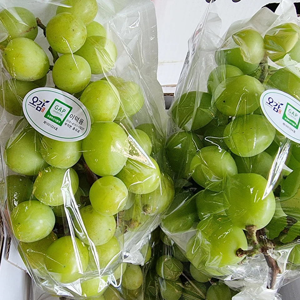 (코인10%)경북 김천 고당도 샤인머스켓 5-6수(2kg내외) / 400g 1수