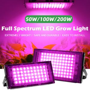 풀 스펙트럼 LED 식물 성장등 AC220V 50/100/150/200W 스위치 포함 온실 수경재배 식물 꽃 씨앗 성장등