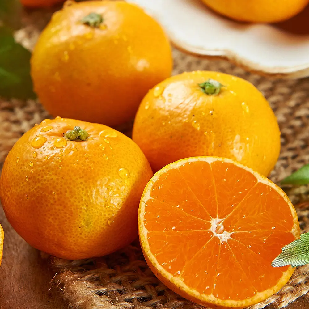 [제주직송] 새콤달콤 햇조생 노지 감귤 9kg