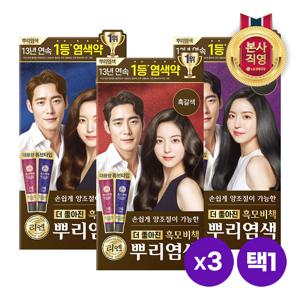 리엔 흑모비책 뿌리새치염색 크림 100g x 3개 [흑색/흑갈색/짙은갈색]택1