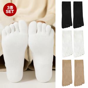 여성용 핏라인 삭스 3개 세트 중목 통풍 운동 땀흡수 발가락 양말