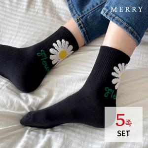 제인 데이지 카바삭스 5족 세트/여성 발목양말