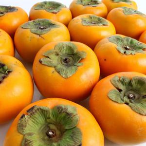 경남 창원 북면 단감 3kg / 5kg / 10kg