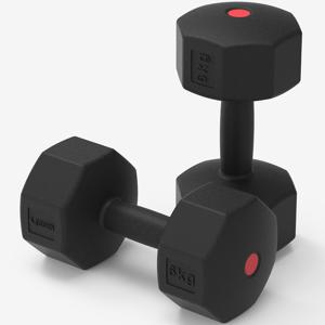 블랙팔각 덤벨 아령 6kg 2개 아령세트 웨이트 운동