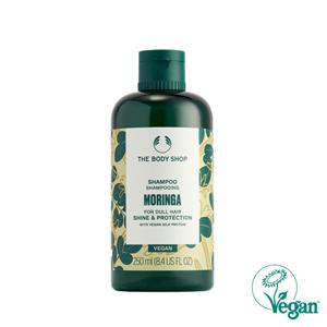 모링가 샴푸 250ML