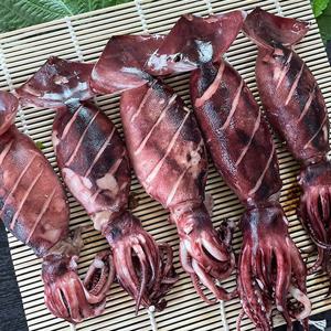 통찜용 오징어 500g 꼬마오징어 한입안주